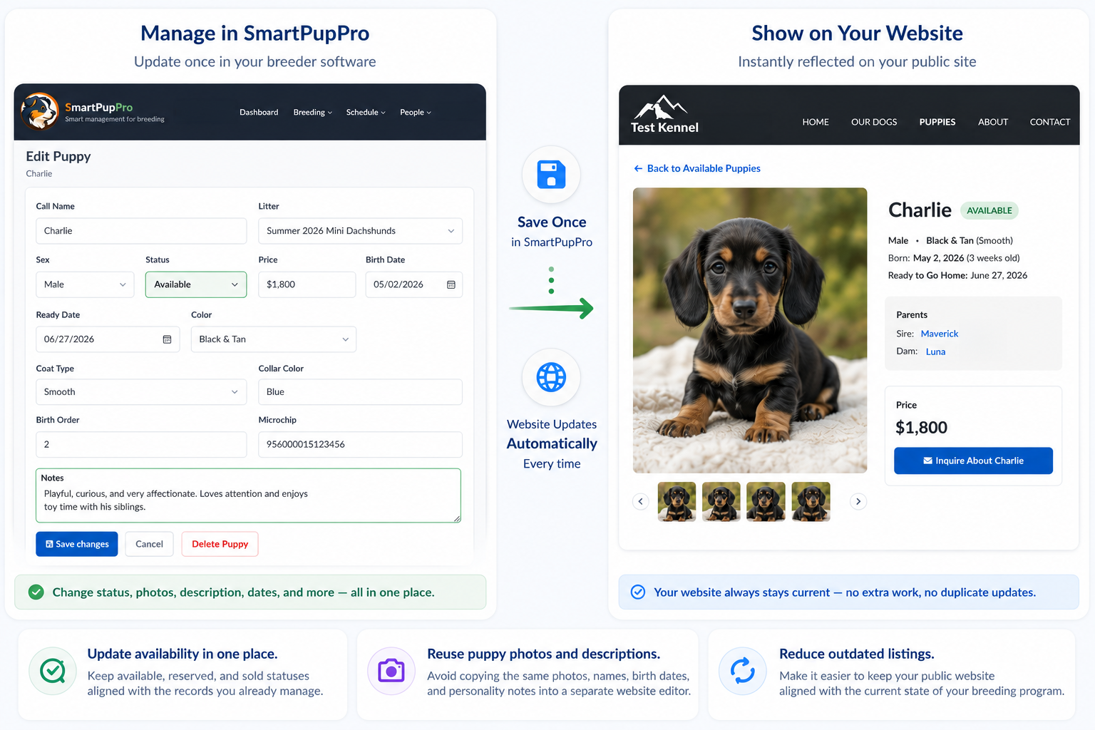 Automatic puppy listings displayed on a professional dog breeder website