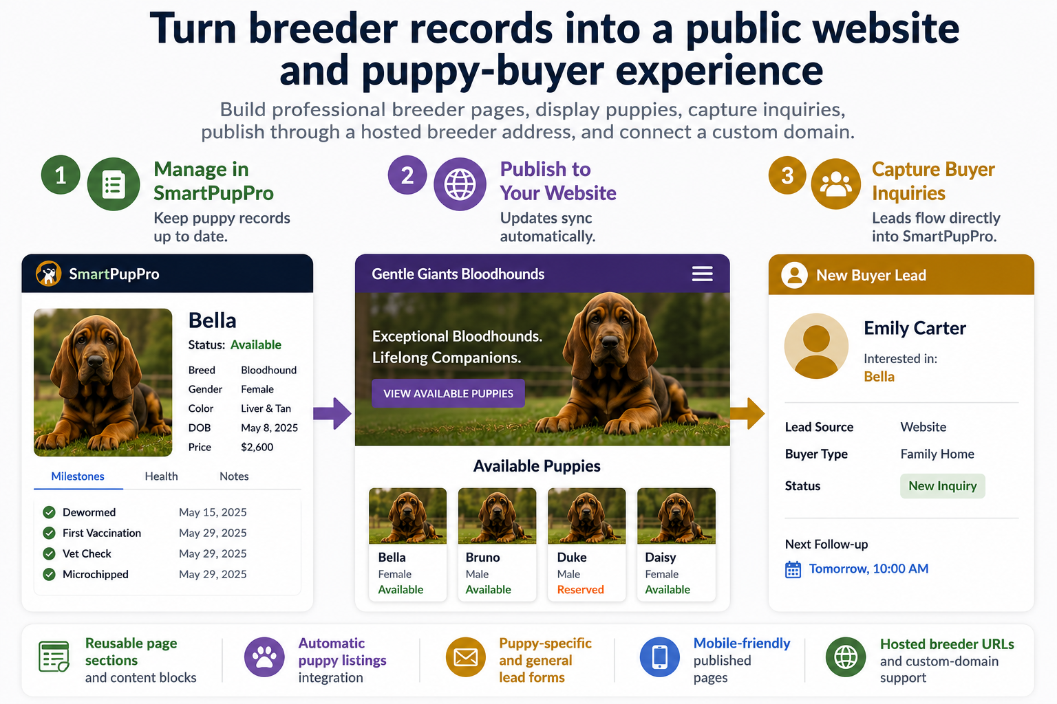 SmartPupPro dog breeder website builder with automatic puppy listings
